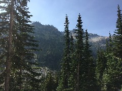 Maple Heather Trail; Cascades, WA