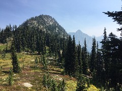 Maple Heather Trail; Cascades, WA
