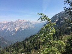 Maple Heather Trail; Cascades, WA