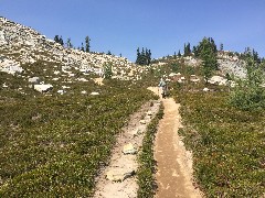 Ruth Bennett McDougal Dorrough; Maple Heather Trail; Cascades, WA