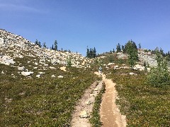 Ruth Bennett McDougal Dorrough; Maple Heather Trail; Cascades, WA