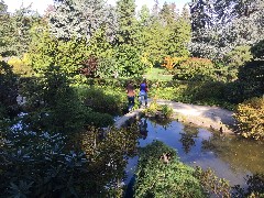 Ben Dorrough; Sarah Elizabeth Derry; Kubota Garden; Seattle, WA