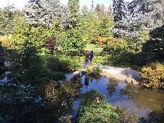 Ben Dorrough; Sarah Elizabeth Derry; Kubota Garden; Seattle, WA