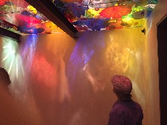 Ruth Bennett McDougal Dorrough; Chihuly Garden and Glass; Seattle, WA