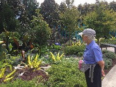 Ruth Bennett McDougal Dorrough; Chihuly Garden and Glass; Space Needle; Seattle, WA