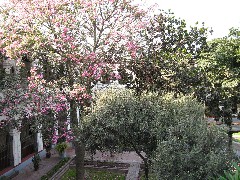 Lima Peru South America Trips