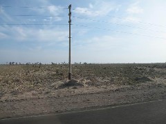 Nasca Peru South America Trips