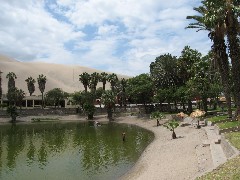 Oasis Peru South America Trips
