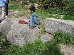 Peru South America Trips