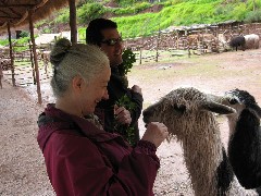 Ruth Dorrough; Alpaca Farm Peru South America Trips