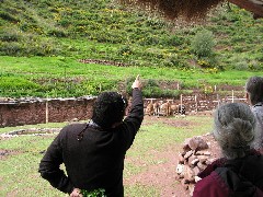 Roberto Durant; Ruth Dorrough; Alpaca Farm Peru South America Trips
