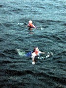 Ruth Dorrough; Jackie Stormo ; Archipel Galapagos Ecuador South America Trips swimming