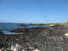 Baltra Galapagos Islands Ecuador South America Trips