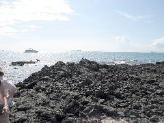 Baltra Galapagos Ecuador South America Trips