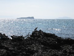 Baltra Galapagos Islands Ecuador South America Trips