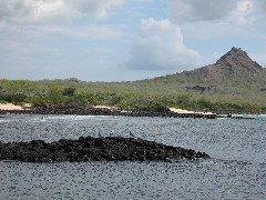 Baltra Galapagos Islands Ecuador South America Trips