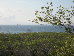 Baltra Galapagos Islands Ecuador South America Trips archipel