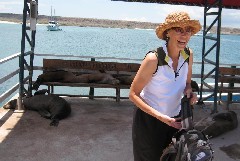 Pat Kane; Galapagos Ecuador South America Trips Sea Lions animals