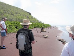 Jackie Tupper; Peter Kane; Sea Lion; Rabida Ecuador South America Trips