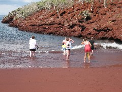 Rabida Galapagos Ecuador South America Trips