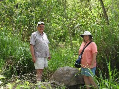 Jack Stormo; Jackie Stormo ; Tortoises Wild Ecuador South America Trips