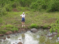 Jackie Tupper; Giant Turtle; Tortoises Wild Ecuador South America Trips