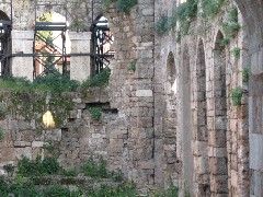 Trips; Turkey; Antalya