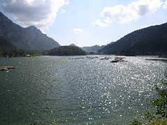 Trips; Turkey; Fish Farm way Antalya
