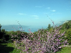 Trips; Turkey;