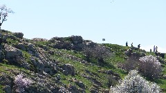 Akdamar Island; Turkey