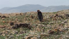 Turkey; Ani Ancient Armenian Capitol