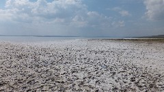 Turkey; Tuz Golu Salt Lake