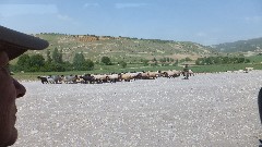 Turkey