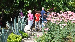 Rochelle Wolk; Sally Reiquam; Barbara Slotnik; Carol Smith; Carl Smith; Celia Wilson; St Paul s Well Tarsus Turkey