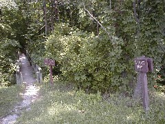 Trips Virginia Jun 2004 Belfast Trail