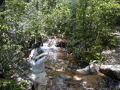 Ruth Bennett McDougal Dorrough; Trips Virginia Jun 2004 Belfast Trail