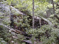 Trips Virginia Jun 2004 hiking Belfast Trail