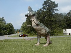 Virginia