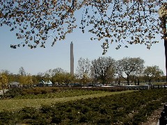 Trips Washington DC 2005 Washington Monument
