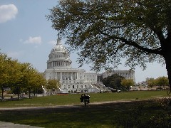 Trips Washington DC 2005 The Capital building
