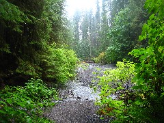 Olympic National Park, WA