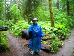 Dan Dorrough; Washington State; Olympia National Park