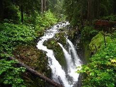 Sol Duc Waterfall; Washington State; Olympic National Park