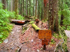 Sol Duc Falls; Trips; Washington State; Olympic National Park; sign