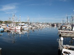 Washington State; Seattle