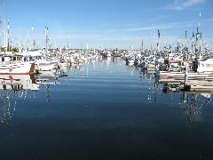 Boats; Washington State; Seattle