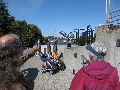 Tour Guide Driver; Ruth Dorrough; Washington State; Seattle