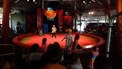 Ringling Circus World Baraboo, WI