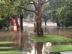 Pearl Street; Canandaigua, NY Flood