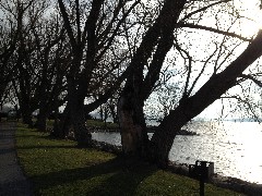 Us; North end of Canandaigua Lake behind Steamboat Landing